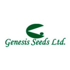genesis-seeds