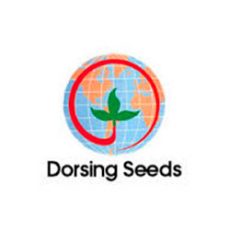 dorsing-seeds
